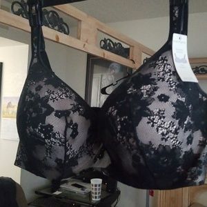 Cacique Lace Bra